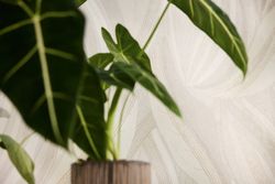 profhome-tapete-wallpaper-int2-786554-GU.jpg profhome-tapete-wallpaper-int2-786554-GU.jpg