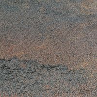 profhome-tapete-wallpaper-detail-786564-GU.jpg