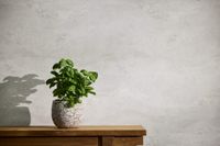 profhome-tapete-wallpaper-int2-786566-GU.jpg