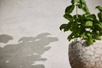 profhome-tapete-wallpaper-int3-786566-GU.jpg