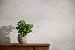 profhome-tapete-wallpaper-int2-786566-GU.jpg profhome-tapete-wallpaper-int2-786566-GU.jpg