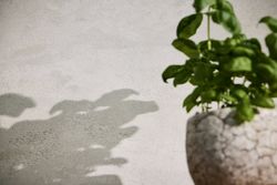 profhome-tapete-wallpaper-int3-786566-GU.jpg profhome-tapete-wallpaper-int3-786566-GU.jpg
