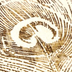 profhome-tapete-wallpaper-detail-791865-GU.jpg profhome-tapete-wallpaper-detail-791865-GU.jpg