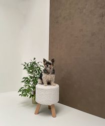 wallface-29289-int1.jpg wallface-29289-int1.jpg