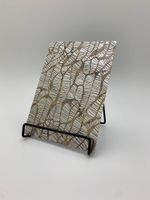 17037-wallface-display.jpg