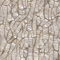 wallface-muster-sample-echantillon-17037.jpg