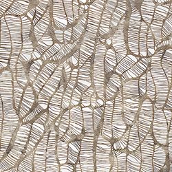 wallface-muster-sample-echantillon-17037.jpg wallface-muster-sample-echantillon-17037.jpg