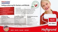 profhome-haftgrund-12l-etikett.jpg