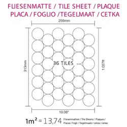 Alloy-DOME-qm.jpg Alloy-DOME-qm.jpg