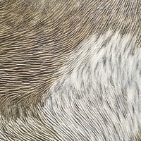 822301-int1.jpg