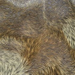 822305-int1.jpg 822305-int1.jpg
