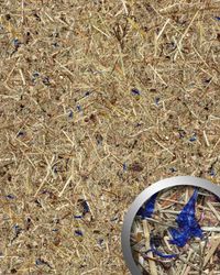 wandverkleidung-wallface-wandpaneel-alpine-lavender-blue.jpg wandverkleidung-wallface-wandpaneel-alpine-lavender-blue.jpg