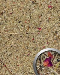 wandverkleidung-wallface-wandpaneel-alpine-rose.jpg wandverkleidung-wallface-wandpaneel-alpine-rose.jpg