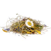 alpine-potpourri-int.jpg