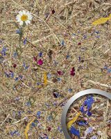 wandverkleidung-wallface-wandpaneel-alpine-potpourri.jpg