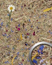 wandverkleidung-wallface-wandpaneel-alpine-potpourri.jpg wandverkleidung-wallface-wandpaneel-alpine-potpourri.jpg