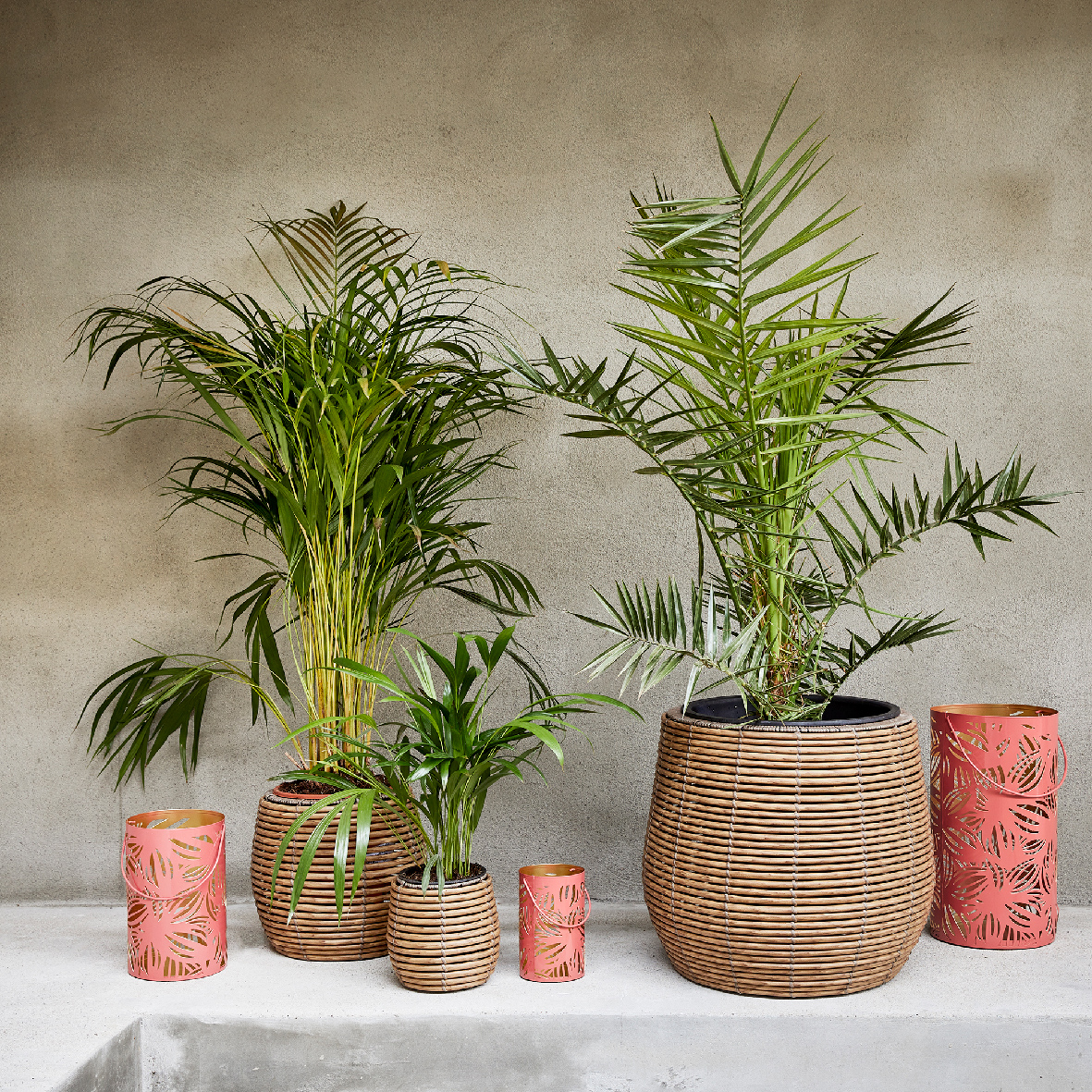 Blumentopf Outdoor in Rattanoptik 17-40cm Hellbraun 3er Set