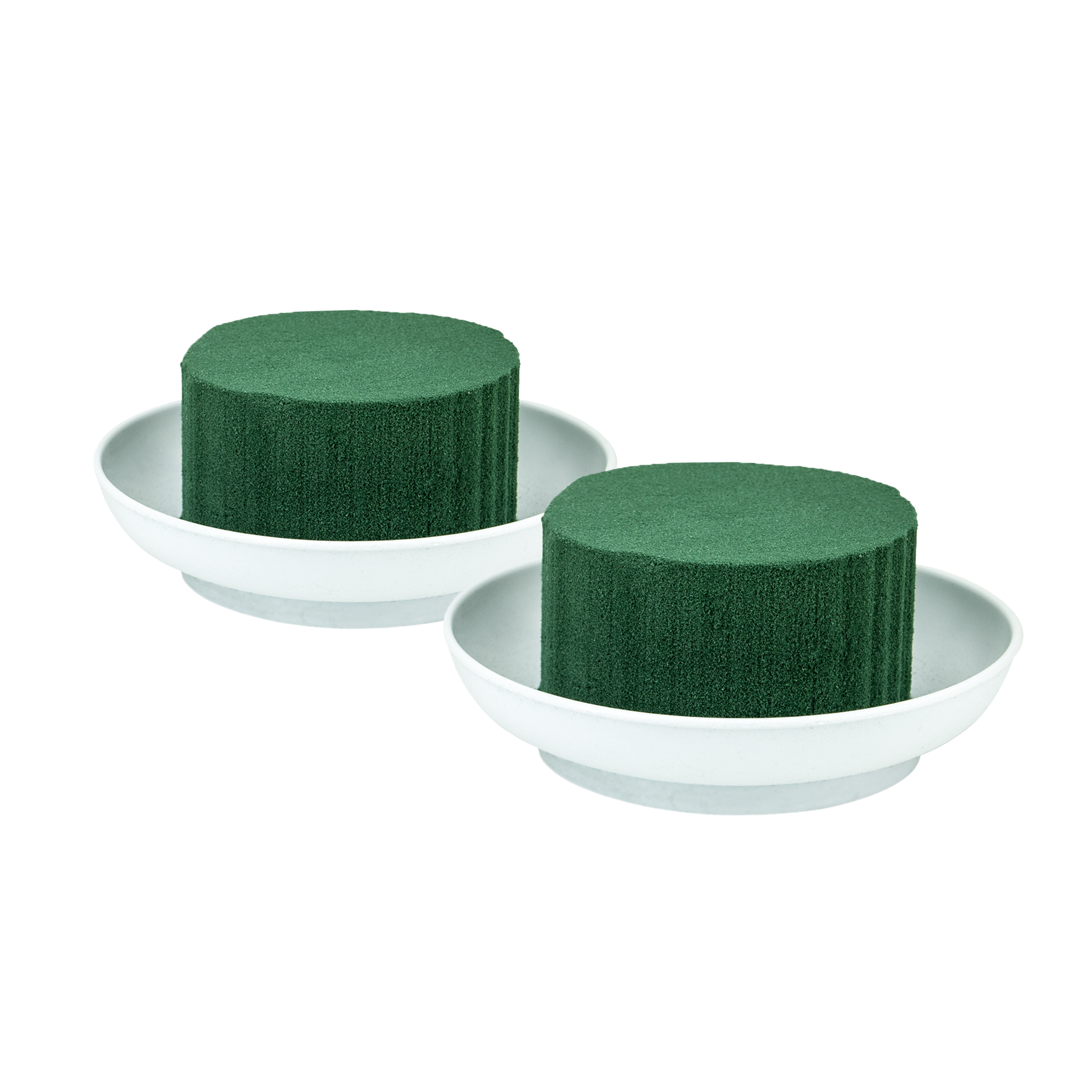 Nass Steckschaum Rund 8x5cm mit Schale D.12cm 2er Set Weiß