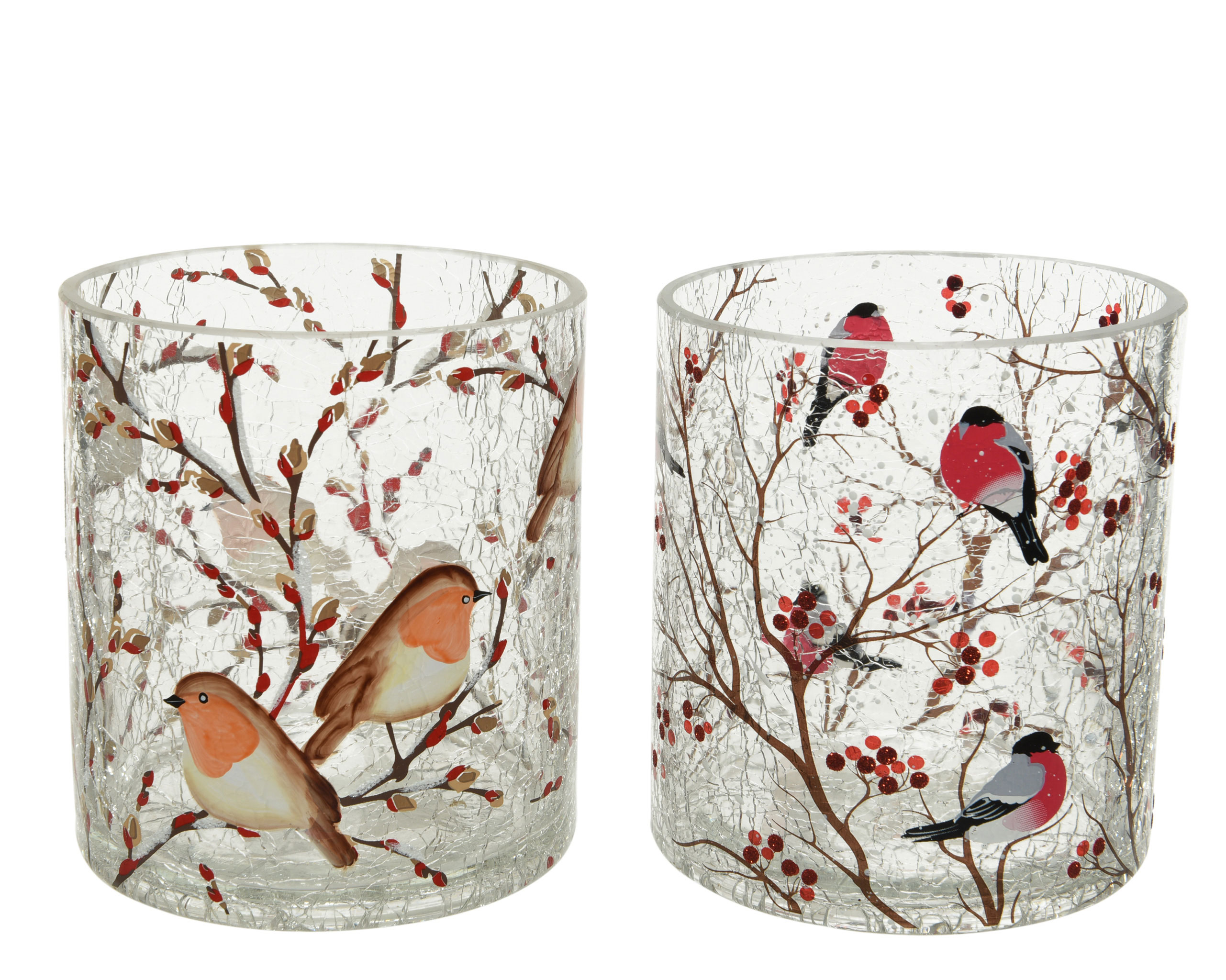 Teelichthalter Glas 10cm mit Vogel Motiv 1 Stück sortiert Transparent