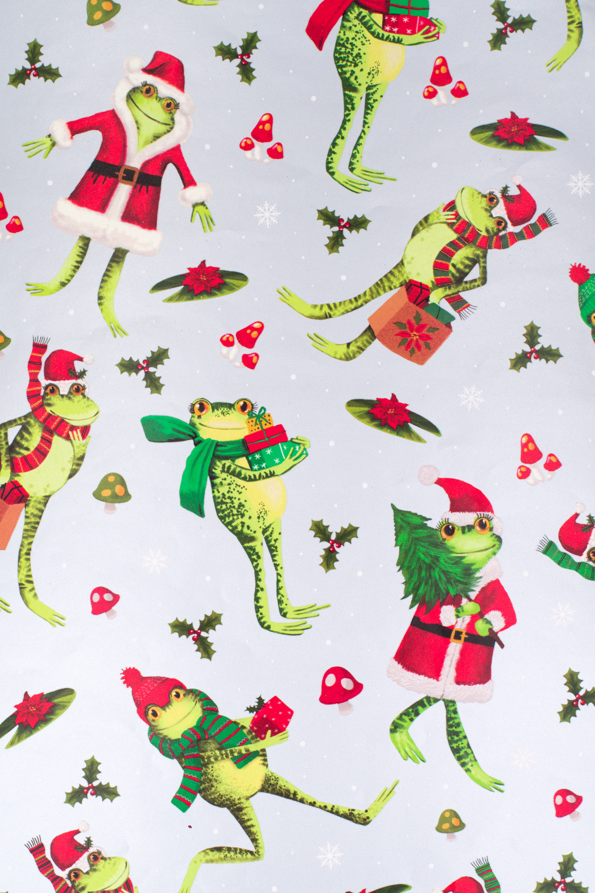 Geschenkpapier Frosch mit Geschenken 70cm x 2m Rolle Silber / Grün