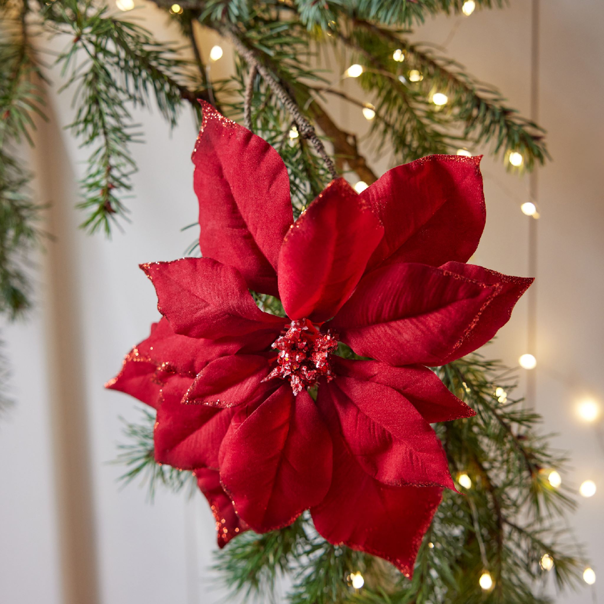 Weihnachtsstern Blume auf Clip 24cm rot