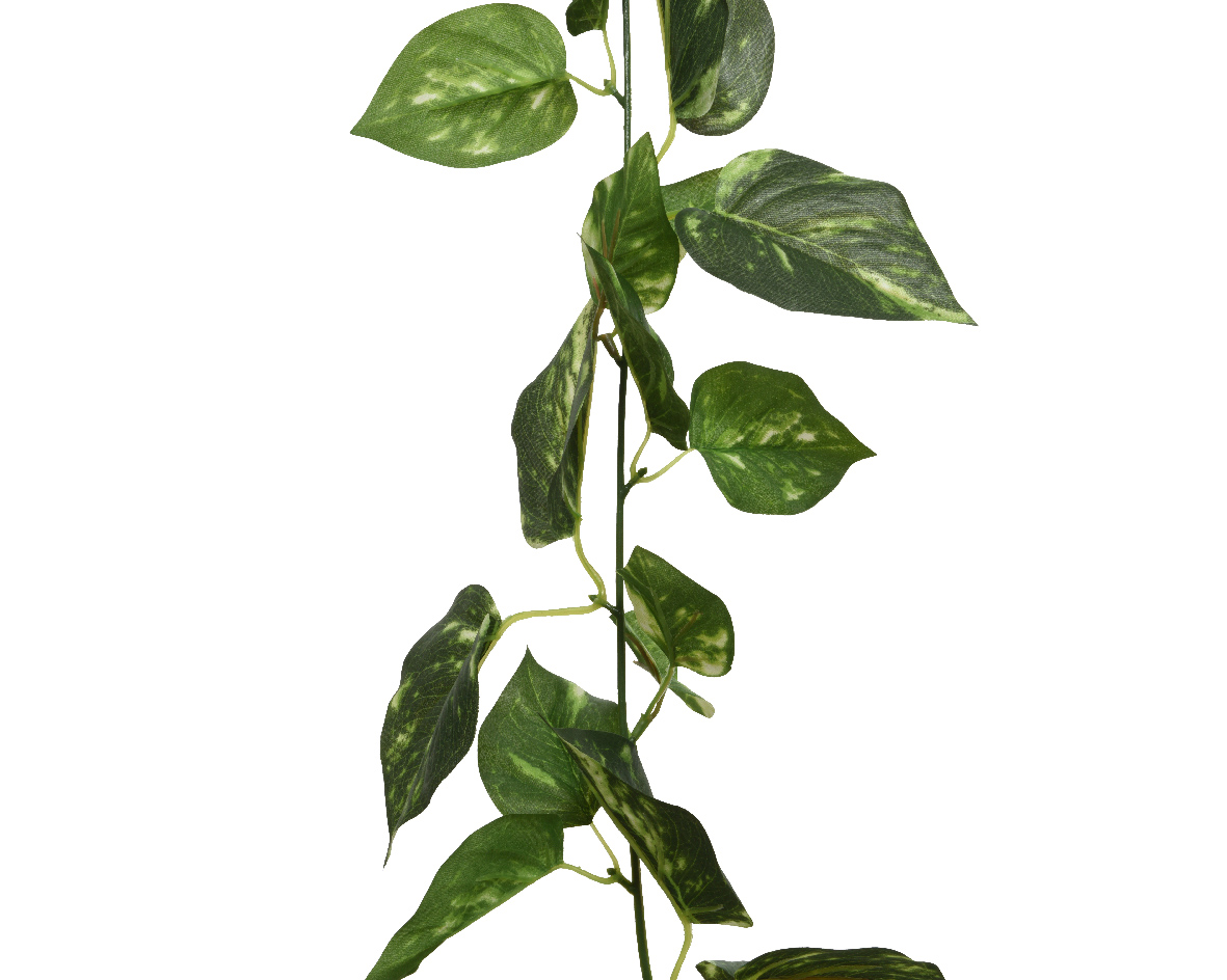 Künstliche Monstera Girlande 20x180cm grün