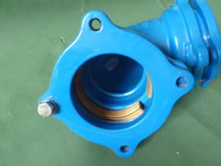 1571-4.jpg 1571-4.jpg
