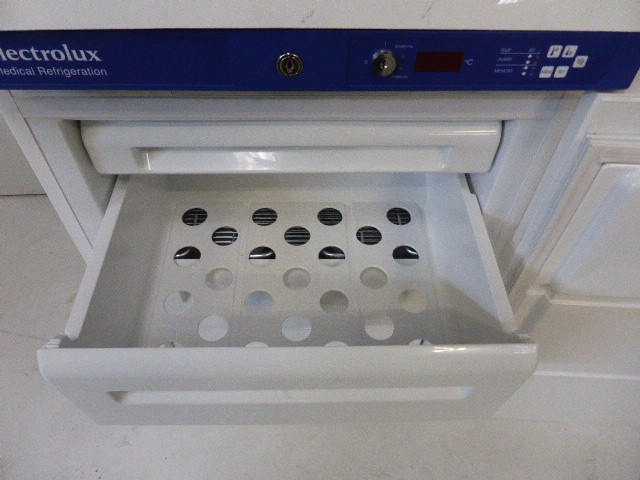 16281_4.JPG