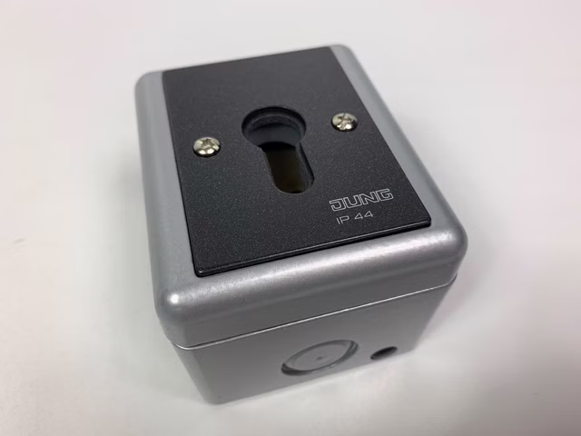 Jung Schlüssel-Schalter WG800 833.18G 1-pol Taster-Wechsler grau IP44