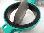2307-6.jpg