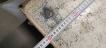 24161_4.jpg
