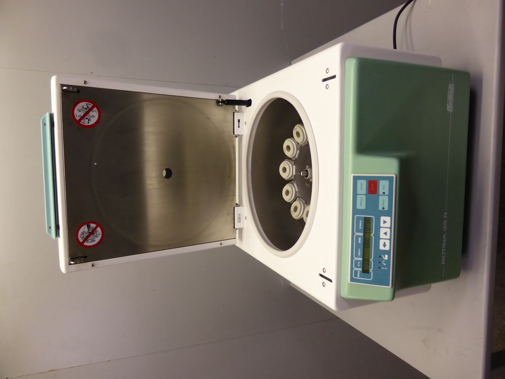 24573_10.JPG