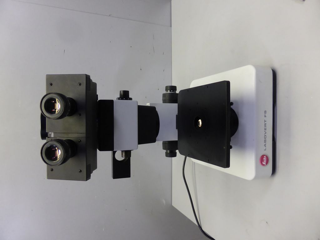 24580_19.JPG
