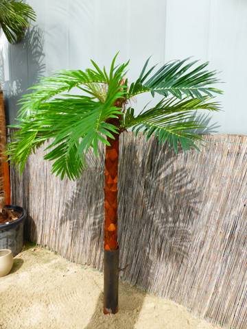 Palm Tree Coconut Palm Artificial Plant Artificial Plant 250cm