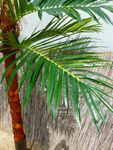 24899_5.JPG
