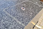 24958_11.jpg