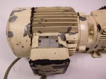 25149_3.JPG