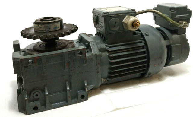 Bauer Gear Motor SG2-21 / DK712-178 380V0.015k,  w