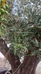 43210_4.jpeg