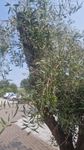 43210_5.jpeg