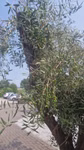 43210_5.jpeg