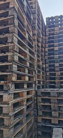 Euro Pallets Pallets Good Condition Transport Pallet | Storage Pallet LARGE QUANTITY