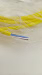 48219_2.JPG