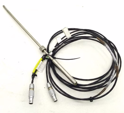 Thermo-electra 2 x Pt100-4W Temperatur Sensor Temperatursensor P1681342004
