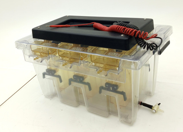 Bio-Rad PROTEAN II Multi-Cell SDS-PAGE 1000V Electrophoresis Chamber