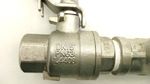 49534_1.jpg