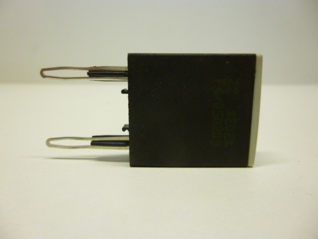 4955-P1010198.JPG