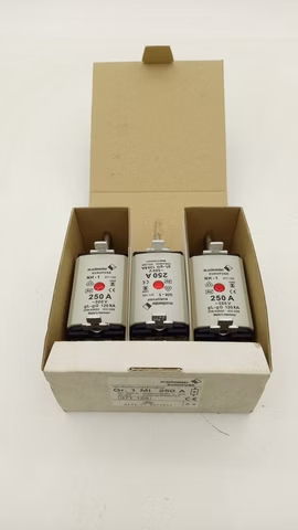 3x m.schneider EUROFUSE NH-1 Sicherung 371125 250A 500V gL-gG DIN43620 