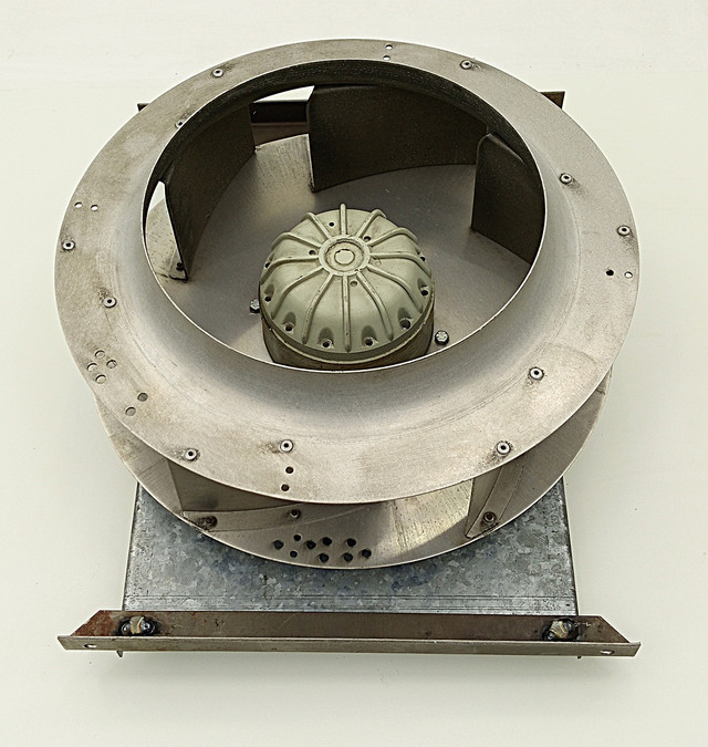 50125_6.jpg