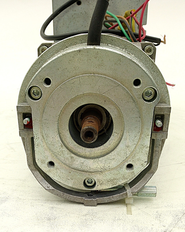 50249_4.jpg